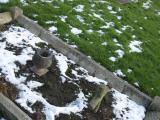 image of grave number 855887